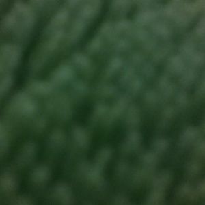 Meet your Posher, Candi