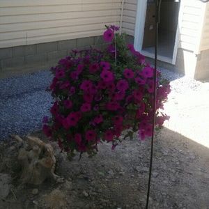 Meet your Posher, Tena