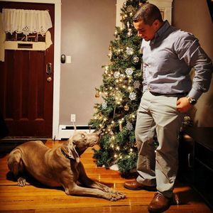 Meet your Posher, Edward