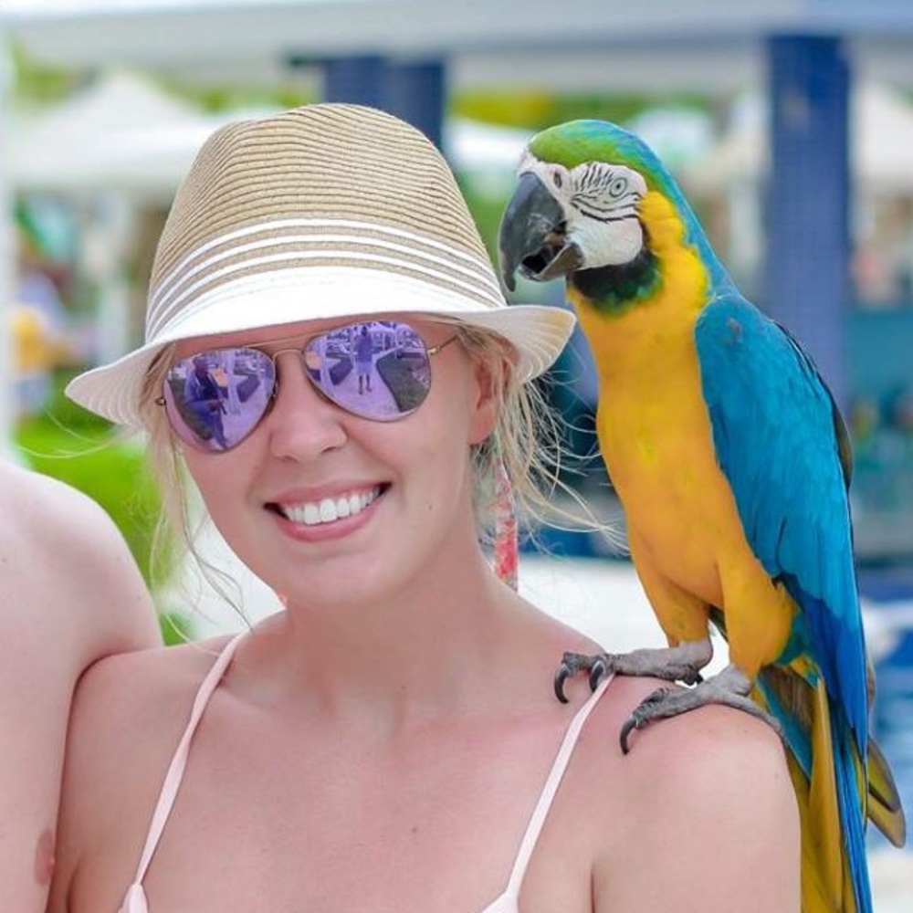 Lilac polarized flash Ray-Bans with gold frames.