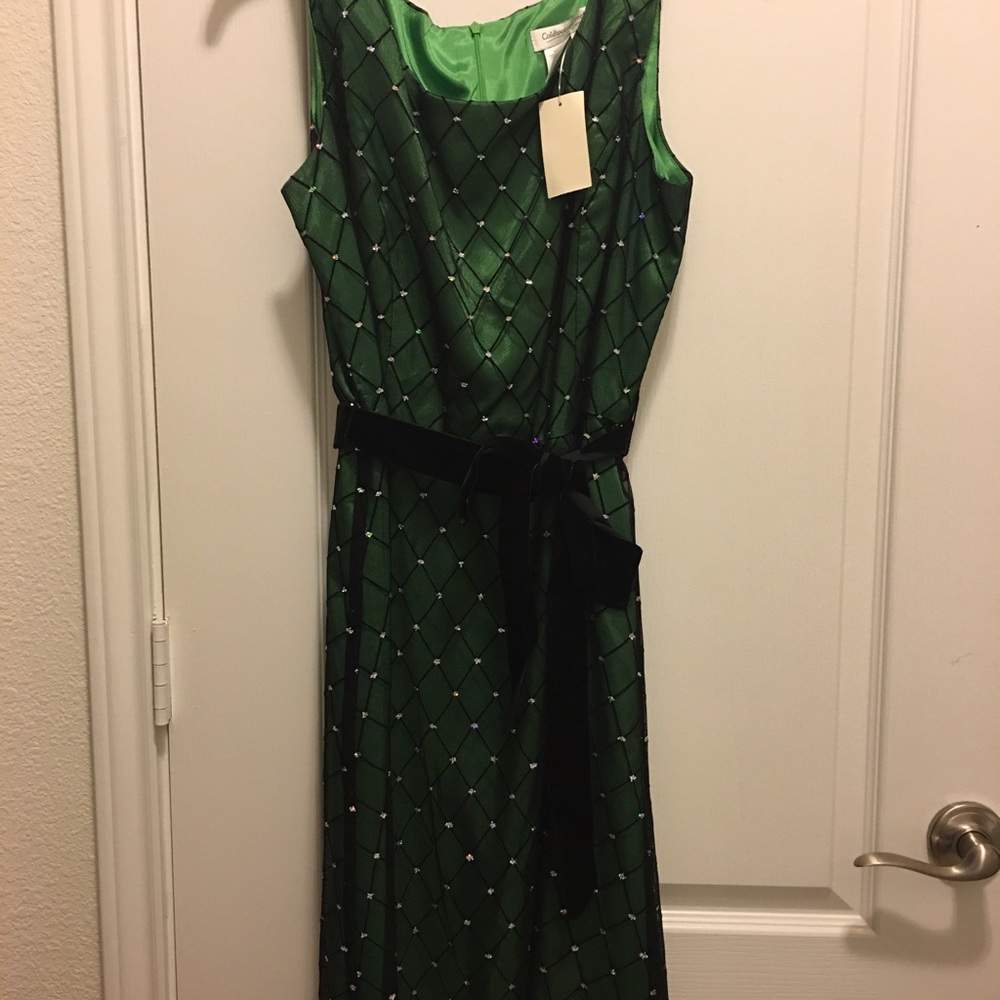 Coldwater Creek green Size 16P