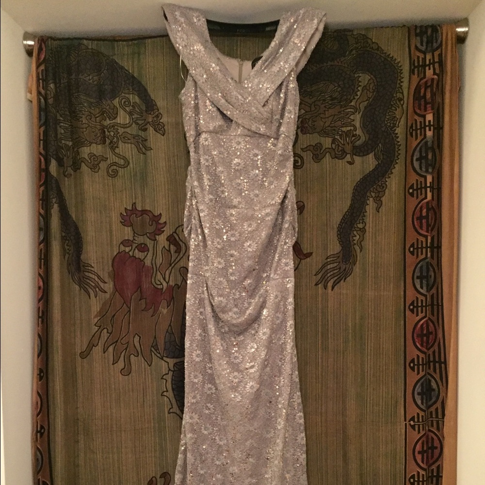 Alex Evenings Gown Size 8