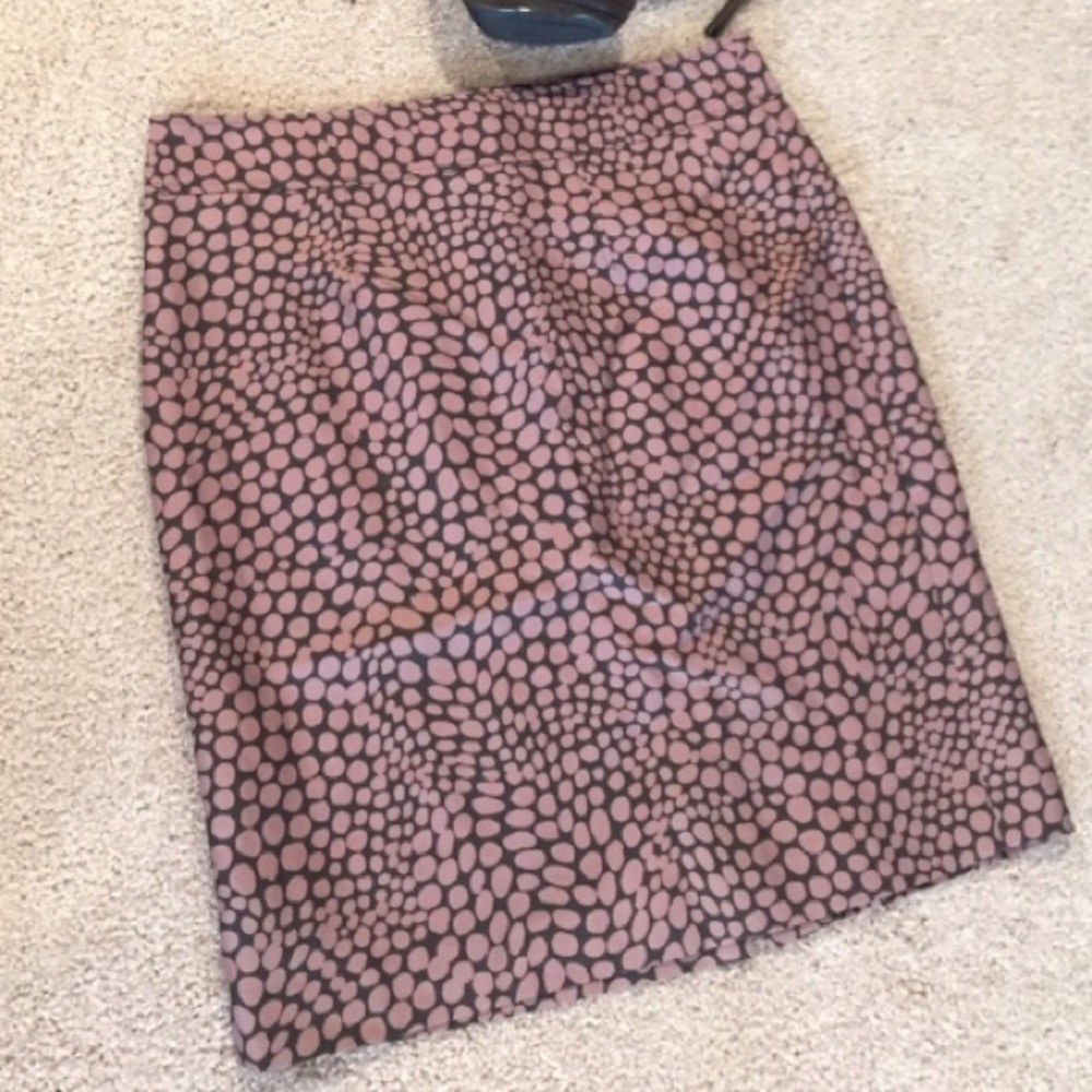Ann Taylor Loft Pencil Skirt