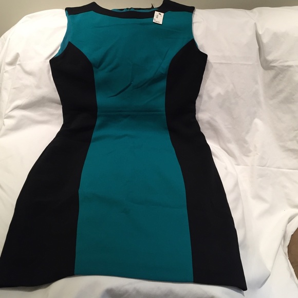 The Limited Dresses & Skirts - The Limited sheath dress NWT!