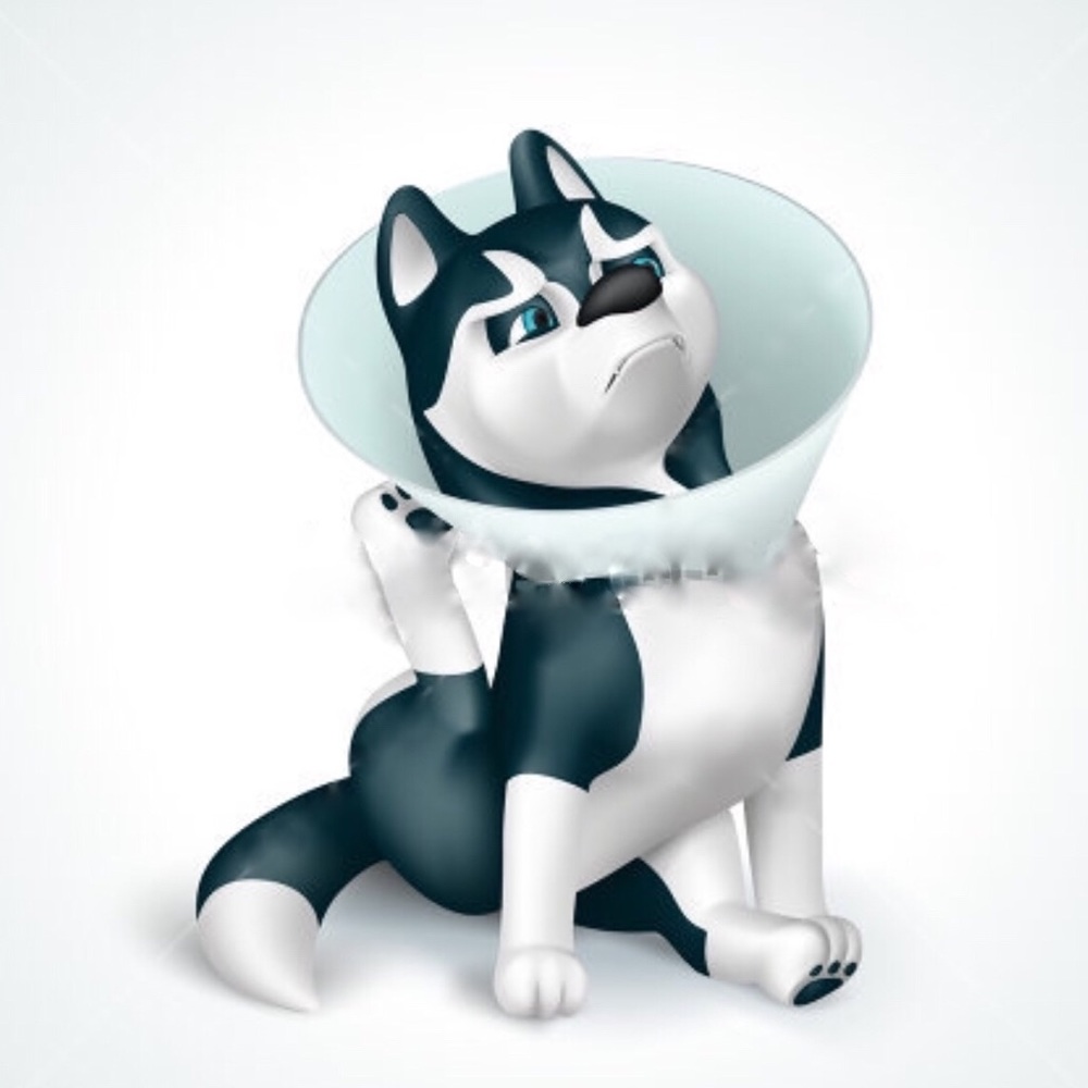 CLOSET CLOSED UNTIL FURTHER NOTICE!