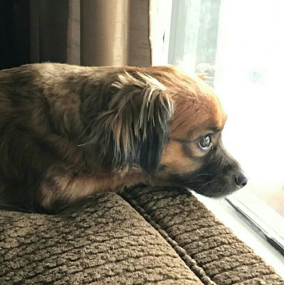 Meet your Posher, Susana