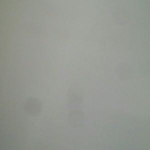 Meet your Posher, Isaac