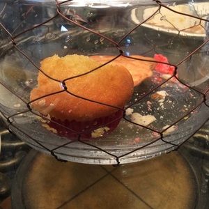 Meet your Posher, Veronica