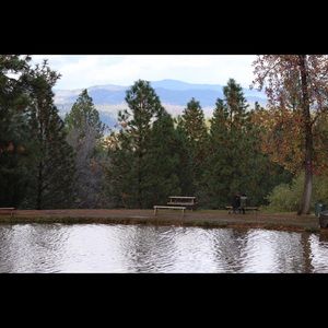 Meet your Posher, Alianna