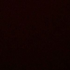 Meet your Posher, Daryl