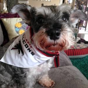 Meet your Posher, Rock