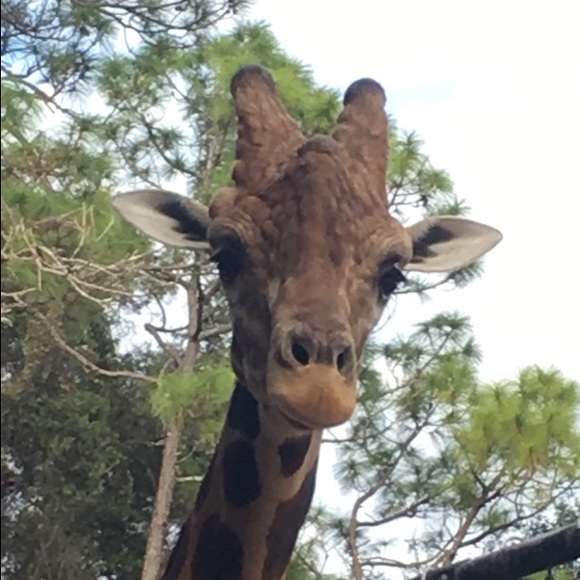 Meet your Posher, Rachael - Picture 1 of 1