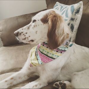 Meet your Posher, Shira