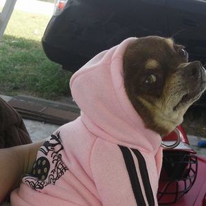 Meet your Posher, Bianca