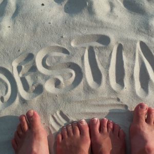 Meet your Posher, Judy