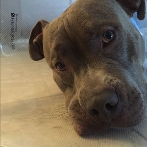 Meet your Posher, Jason