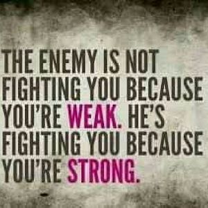 Meet your Posher, Bee