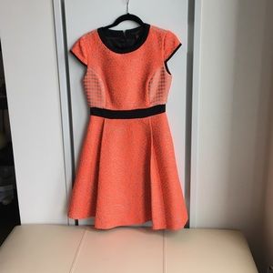 Ted Baker dress