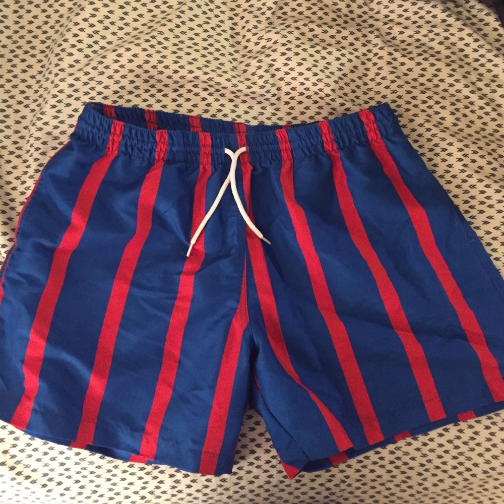 Chubbies *Brand New* Striped Bathing suit