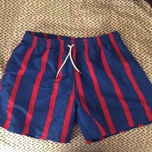 Chubbies *Brand New* Striped Bathing suit