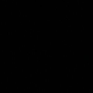 Meet your Posher, Antoinese