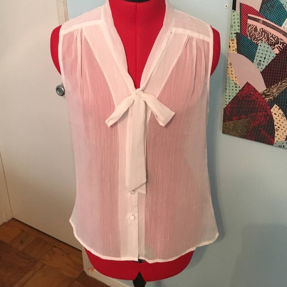 Sheer white with gold pinstripe and tie blouse