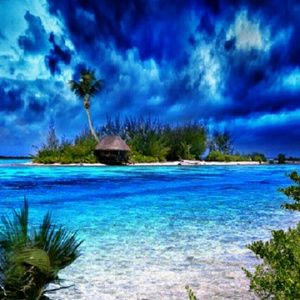 Meet your Posher, Nelly