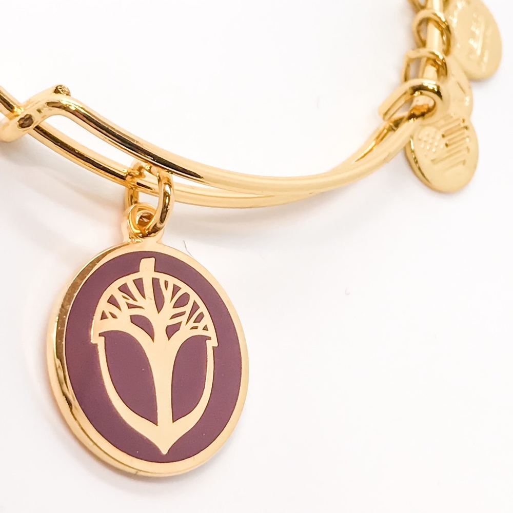 Alex and Ani Unexpected Miracles, Cabernet, YG