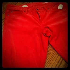 GAP 1969 Skinny Boot Cords