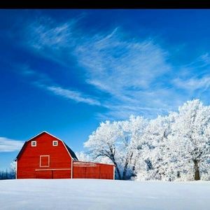 Meet your Posher, Trudy