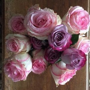 Meet your Posher, Sonja