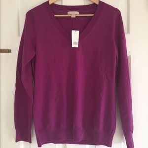 NWT- Banana Republic Purple V-neck Sweater