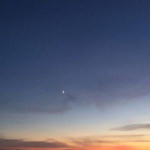 Meet your Posher, Braydee