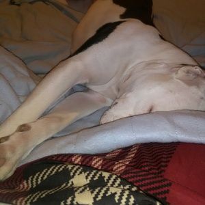 Meet your Posher, Raquel