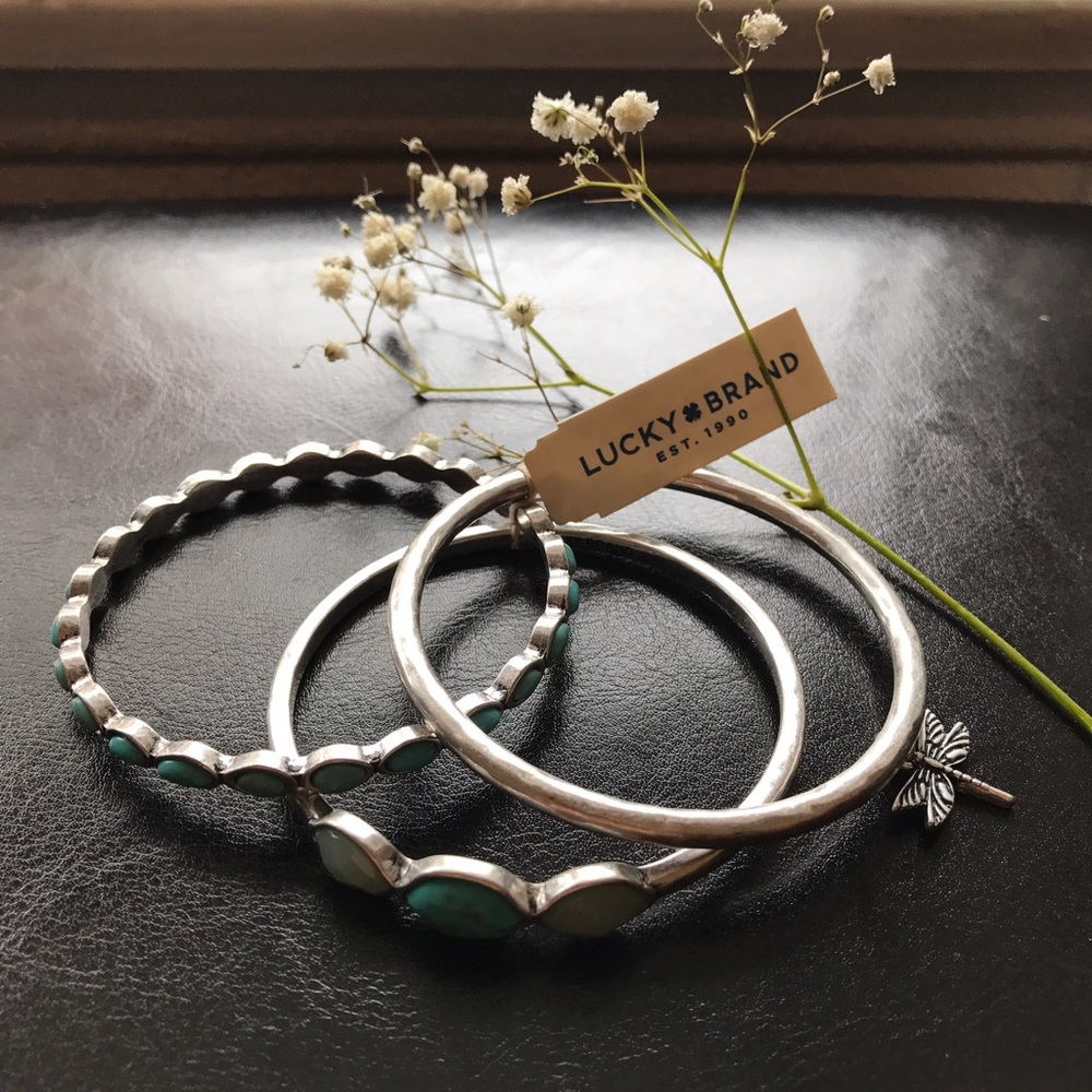 Silvr-tone Turquoise Dragonfly Bangle Bracelet set