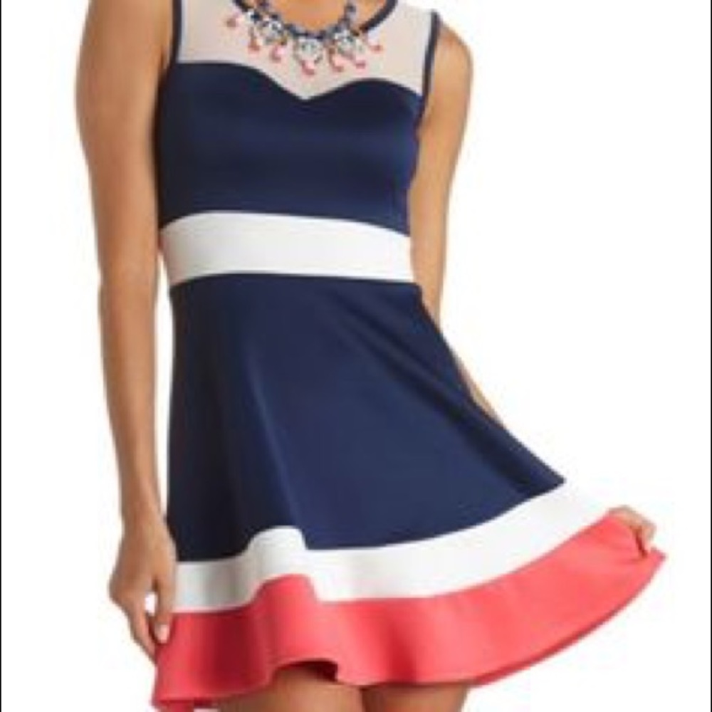 Mesh Scuba Skater Dress