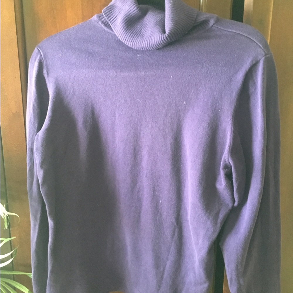 Purple Talbots turtle neck