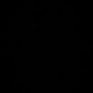 Meet your Posher, Arianna