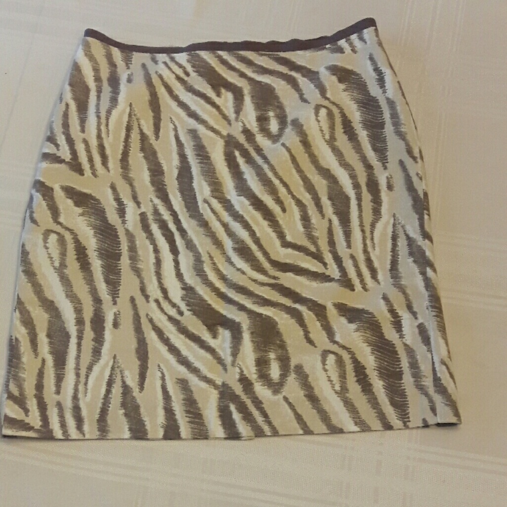 Ann Taylot (loft) skirt