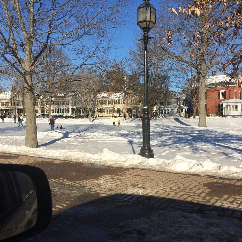 Meet your Posher, Rose