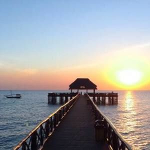 Meet your Posher, Freshta