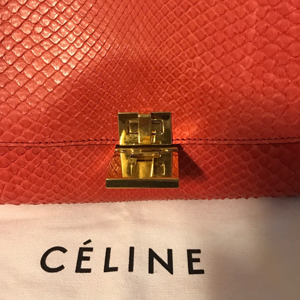 Python Céline Trapeze Handbag - Picture 2 of 4