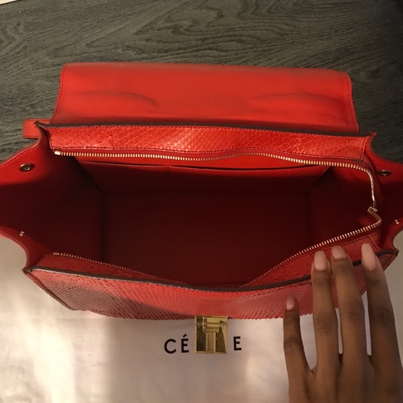Python Céline Trapeze Handbag - Picture 3 of 4