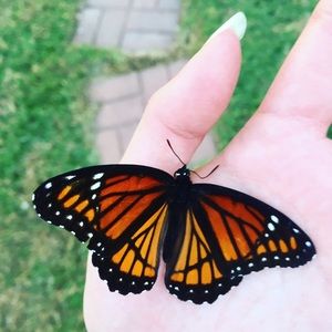 Meet your Posher, Taryn