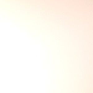 Meet your Posher, Ann