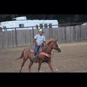 Meet your Posher, Trace