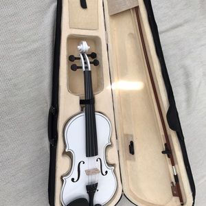 Acoustic Violin with Case