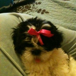 Meet your Posher, Heather