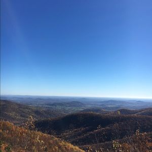 Meet your Posher, Sudhir