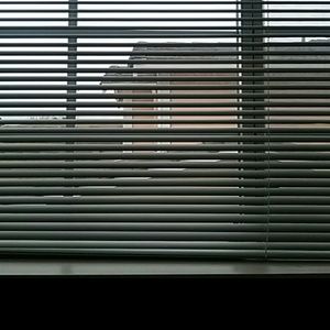 Meet your Posher, Jelly